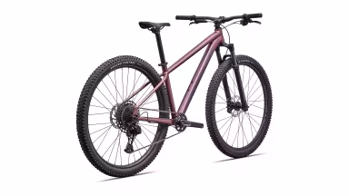 SPECIALIZED Rockhopper Expert