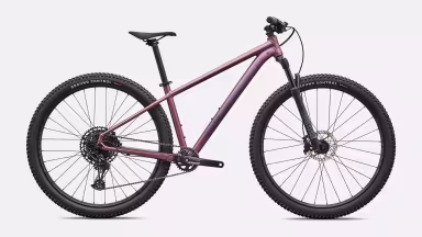 SPECIALIZED Rockhopper Expert