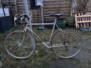 Swiss Olympic Tsunoda Rennvelo