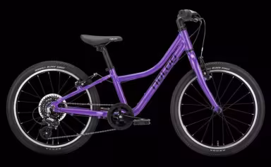 Naloo Naloo Chameleon 20" Mk2.1