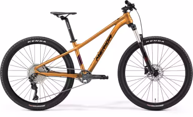 MERIDA Matts  J. Champion