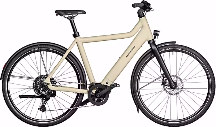 Riese & Müller Culture Touring