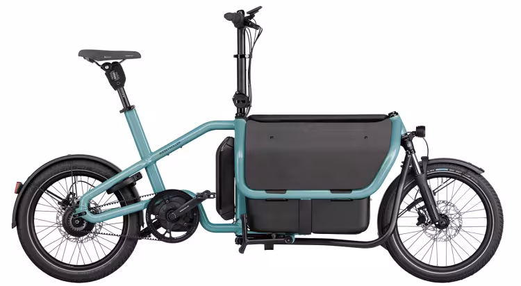 Riese & Müller Carrie Vario