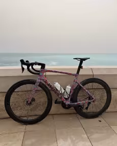 SPECIALIZED Tarmac SL7 Expert - Ultegra Di2