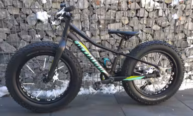 SPECIALIZED Fatboy 20