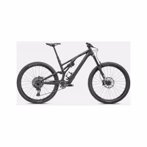 SPECIALIZED Stumpjumper Evo Expert