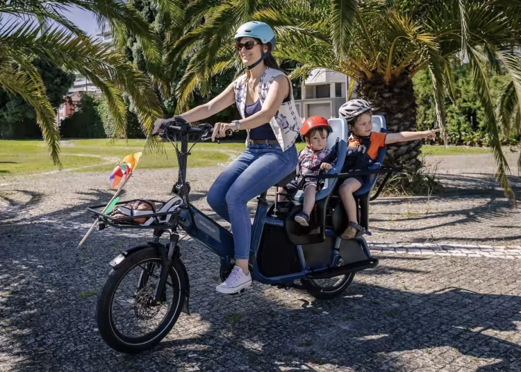 Riese & Müller Multitinker2 Vario