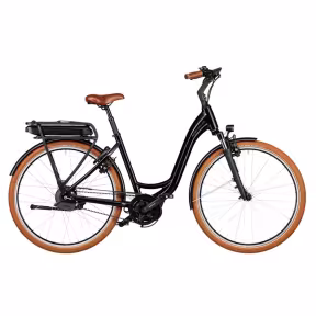 Riese & Müller Swing 5 Vario