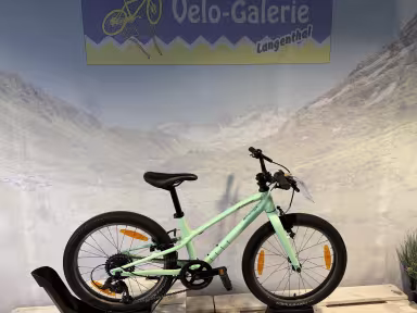 SPECIALIZED Occasion Jett 20 Int