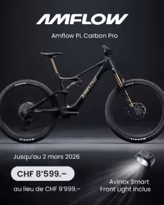 AMFLOW Pl Carbon Pro 800Wh