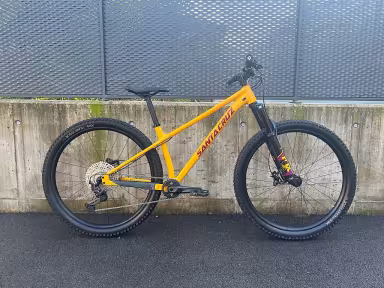 Santa Cruz Chameleon