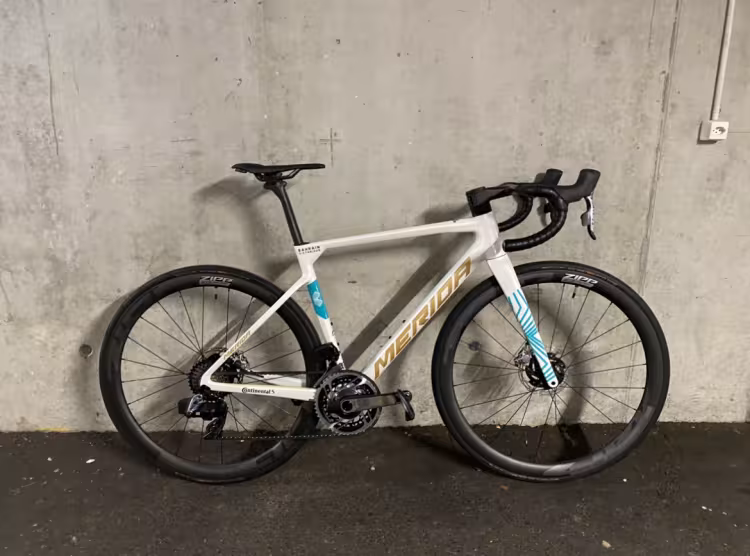 MERIDA Scultura Tdf Gold Edition