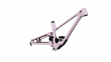 Forbidden Druid Framekit Mx