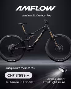AMFLOW Pl Carbon Pro 800Wh