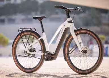 Bulls Sturmvogel Evo