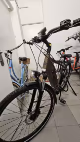 Leopard Pt500 E-Trb Wave