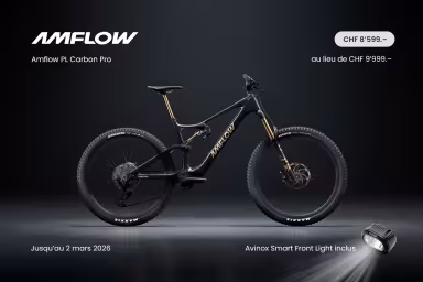 AMFLOW Pl Carbon Pro 800Wh