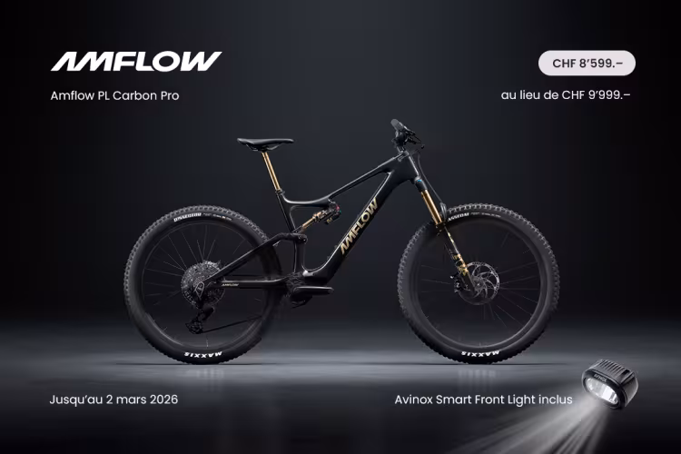 AMFLOW Pl Carbon Pro 800Wh