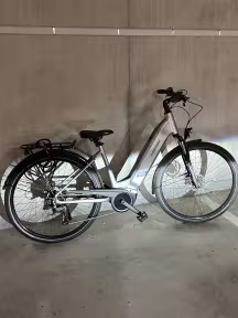 Leopard Muralto City