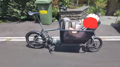 Muli Cycles Muli Muscle