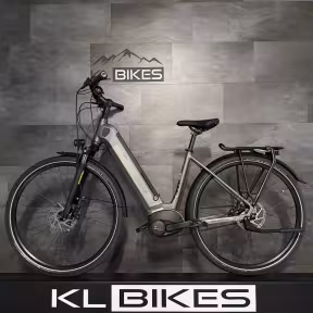 Raleigh Premium Wave