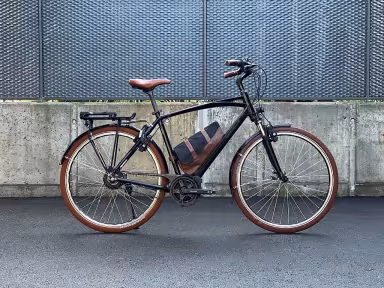 Riese & Müller Cruiser Vario