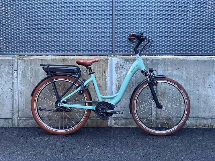 Riese & Müller Swing 3 Vario Urban