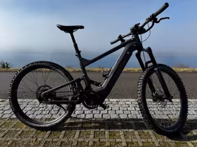 Riese & Müller Delite Mountain