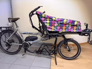 Hase Bikes Pino Steps