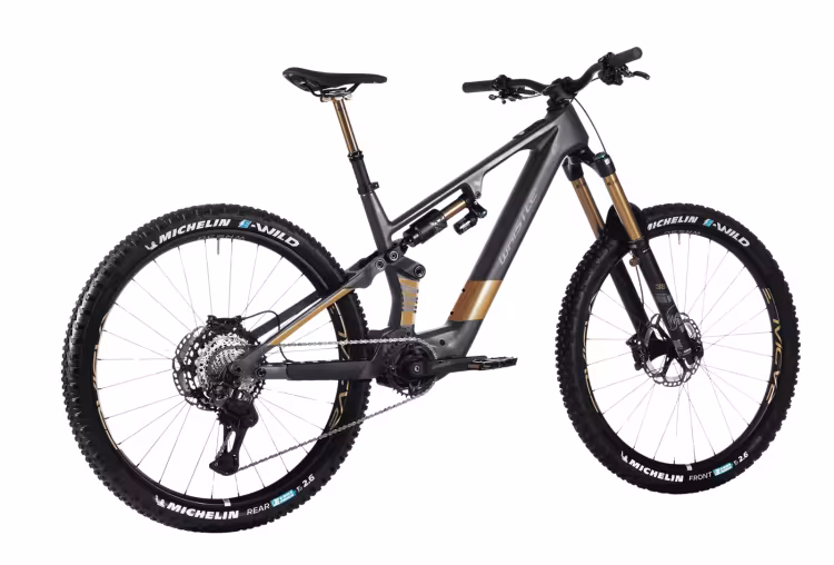 Whistle Dji Avinox Carbon 4 Modèles