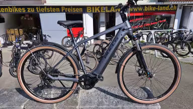 Bulls Cross Rider Evo 2 Herren