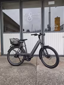Riese & Müller E-Bike Nevo4 Gt Vario