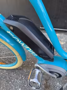 Electra Townie 7D! Go