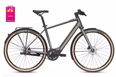 Flyer Upstreet SL 3.10