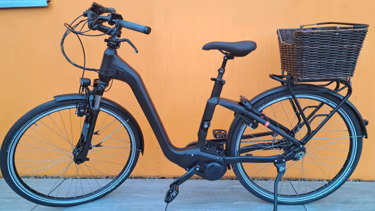 Flyer Gotour 5, Tiefeinsteiger