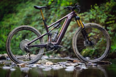 SPECIALIZED Levo