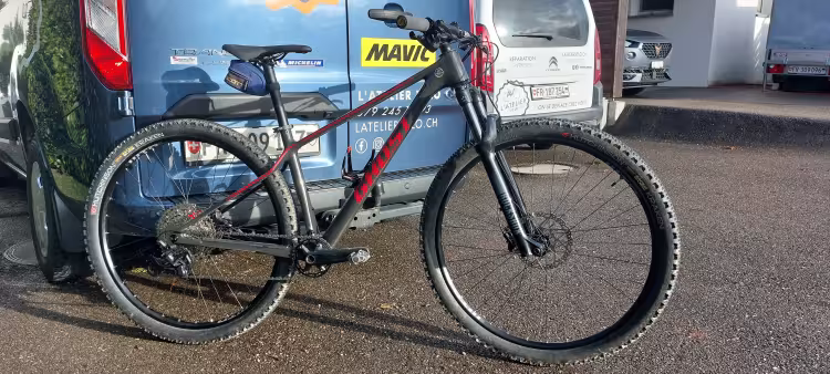 GHOST Lector Universal