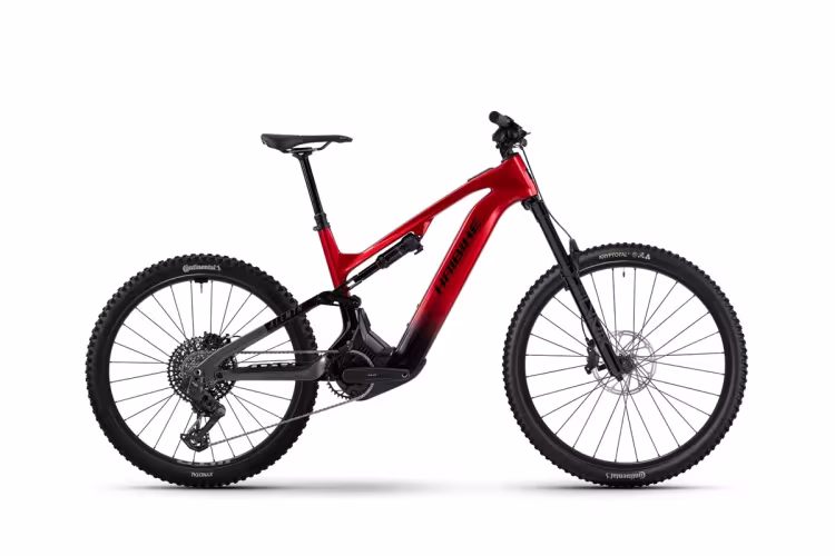 Haibike Allmtn Cf 9