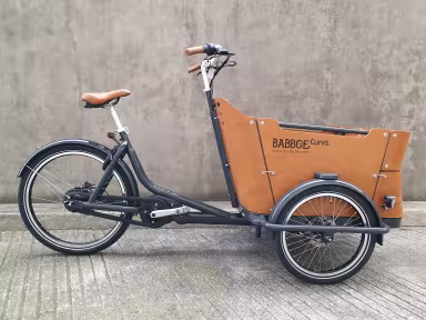 Babboe Curve Mountain 2026