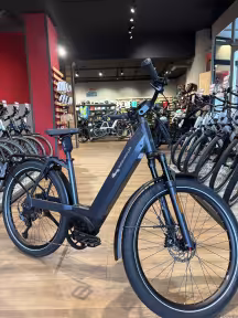 Riese & Müller Nevo4 Gt Touring Hs