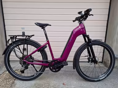 Price E-Speed Cadre Bass Itube Bosch 45 Km/H Ss