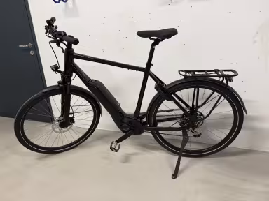 Riese & Müller Rückenwind 25