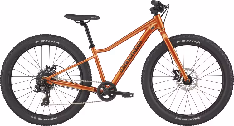 Cannondale Kindervelo Trail Plus 24