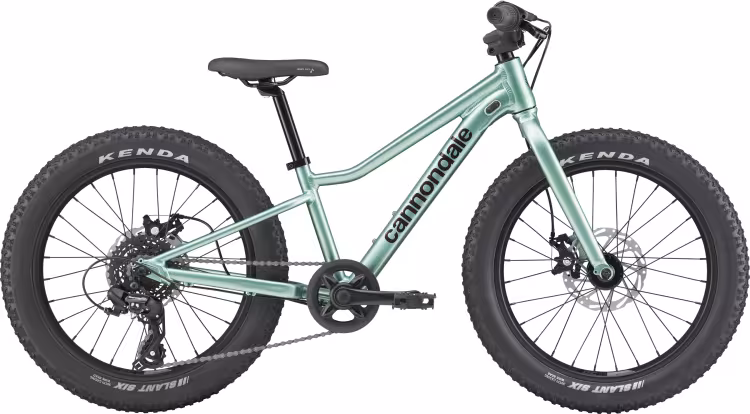 Cannondale Kindervelo Trail Plus 20