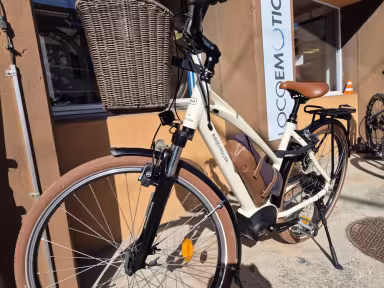 Riese & Müller Cruiser Mixte vario