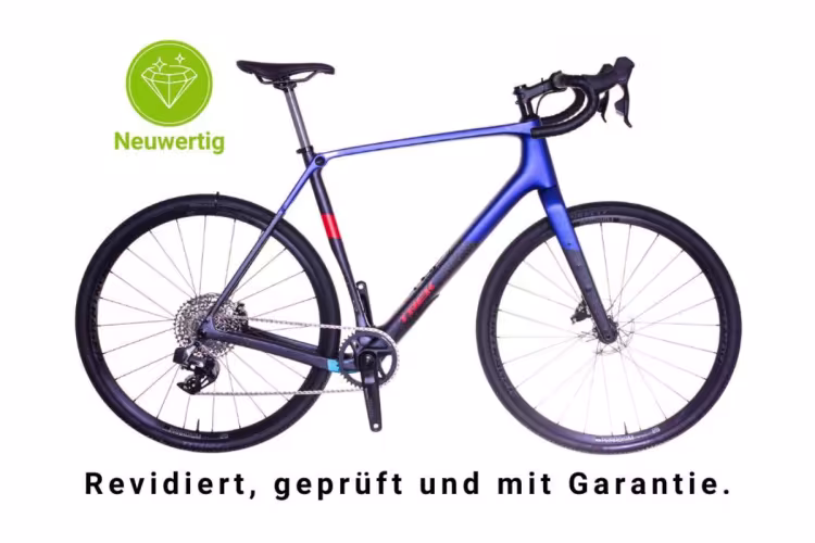 TREK Checkpoint SL 6