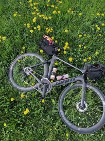 Giant Propel Advanced