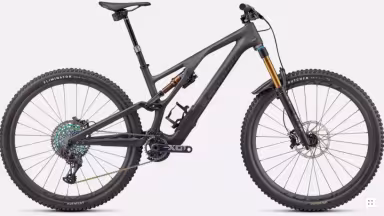 SPECIALIZED Stumpjumper Evo Sworks