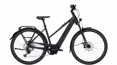 Bulls Cross Lite EVO 2