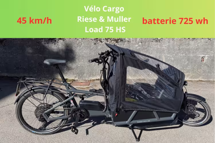 Riese & Müller Load 75